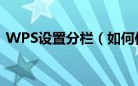 WPS设置分栏（如何使用WPS来设置分栏）