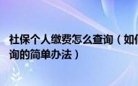社保个人缴费怎么查询（如何查询个人社保缴费情况 社保查询的简单办法）