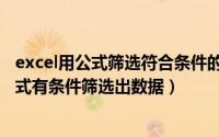 excel用公式筛选符合条件的数据（如何在excel表格中用公式有条件筛选出数据）