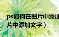 ps如何在图片中添加文字框框（ps如何在图片中添加文字）