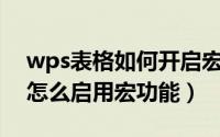 wps表格如何开启宏功能（WPS Excel表格怎么启用宏功能）