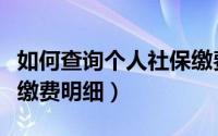 如何查询个人社保缴费额（如何查询个人社保缴费明细）