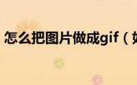 怎么把图片做成gif（如何制作GIF动态图片）