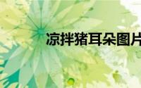 凉拌猪耳朵图片（凉拌猪耳朵）