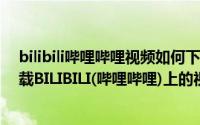 bilibili哔哩哔哩视频如何下载到电脑的3种方法...（如何下载BILIBILI(哔哩哔哩)上的视频）