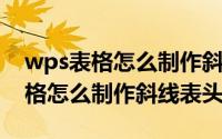 wps表格怎么制作斜杠并输入文字（WPS表格怎么制作斜线表头）