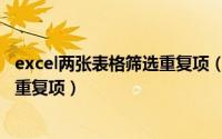 excel两张表格筛选重复项（excel中如何在两个表格里筛选重复项）