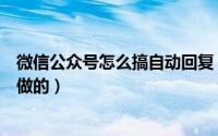 微信公众号怎么搞自动回复（微信公众账号自动回复是怎么做的）