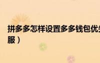 拼多多怎样设置多多钱包优先付款（拼多多怎样设置多个客服）