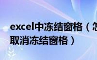 excel中冻结窗格（怎么冻结EXCEL的窗格和取消冻结窗格）