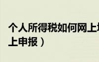 个人所得税如何网上填报（个人所得税如何网上申报）
