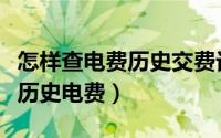 怎样查电费历史交费记录（网上如何查电费及历史电费）