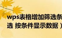 wps表格增加筛选条件（强大的WPS表格筛选 按条件显示数据）