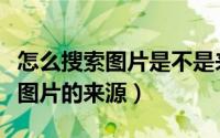 怎么搜索图片是不是来源网络（怎样查找网络图片的来源）