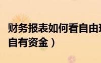 财务报表如何看自由现金流（财务报表如何看自有资金）