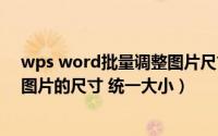 wps word批量调整图片尺寸（wps如何批量修改word中图片的尺寸 统一大小）