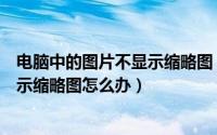 电脑中的图片不显示缩略图（电脑桌面、文件里的图片不显示缩略图怎么办）
