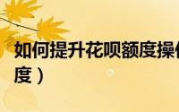如何提升花呗额度操作教学（如何提升花呗额度）