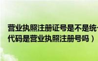 营业执照注册证号是不是统一社会信用代码（统一社会信用代码是营业执照注册号吗）