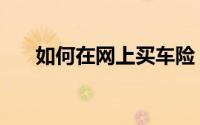 如何在网上买车险（如何在网上赚钱）