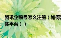 腾讯企鹅号怎么注册（如何注册腾讯旗下的企鹅号（企鹅媒体平台））