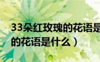 33朵红玫瑰的花语是什么意思（33朵红玫瑰的花语是什么）