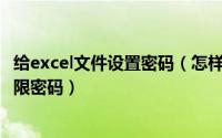 给excel文件设置密码（怎样设置excel文件密码——打开权限密码）