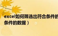 excel如何筛选出符合条件的下一行（Excel如何筛选出符合条件的数据）