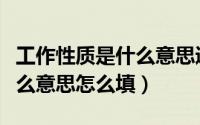 工作性质是什么意思通俗易懂（工作性质是什么意思怎么填）