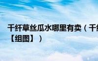 千纤草丝瓜水哪里有卖（千纤草丝瓜水真假鉴别及防伪查询【组图】）