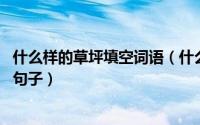什么样的草坪填空词语（什么的草坪填空词语 关于草坪优美句子）