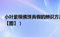 小叶紫檀佛珠真假的辨识方法（小叶紫檀佛珠真假怎样鉴别【图】）