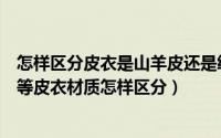 怎样区分皮衣是山羊皮还是绵羊皮（绵羊皮、山羊皮、牛皮等皮衣材质怎样区分）