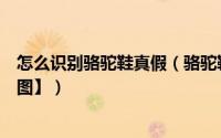 怎么识别骆驼鞋真假（骆驼鞋真假怎么鉴别最全辨别方法【图】）