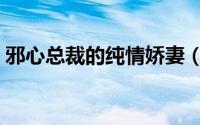 邪心总裁的纯情娇妻（邪心总裁的纯情娇妻）