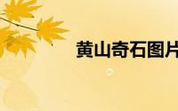 黄山奇石图片（黄山奇石）