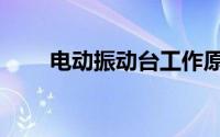 电动振动台工作原理（电动振动台）