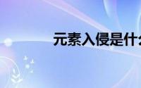 元素入侵是什么（元素入侵）