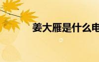 姜大雁是什么电视剧（姜大雁）