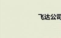 飞达公司（飞达）