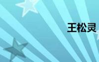 王松灵（王松）