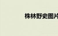 株林野史图片（株林野史）