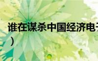谁在谋杀中国经济电子版（谁在谋杀中国经济）