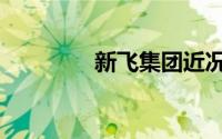 新飞集团近况（新飞集团）