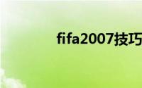 fifa2007技巧（FIFA2007）