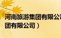 河南旅游集团有限公司营业执照（河南旅游集团有限公司）