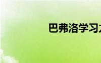 巴弗洛学习力（巴弗洛）