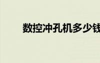数控冲孔机多少钱一台（数控冲孔）