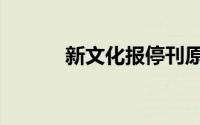 新文化报停刊原因（新文化报）