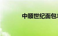 中顺世纪面包车（中顺世纪）